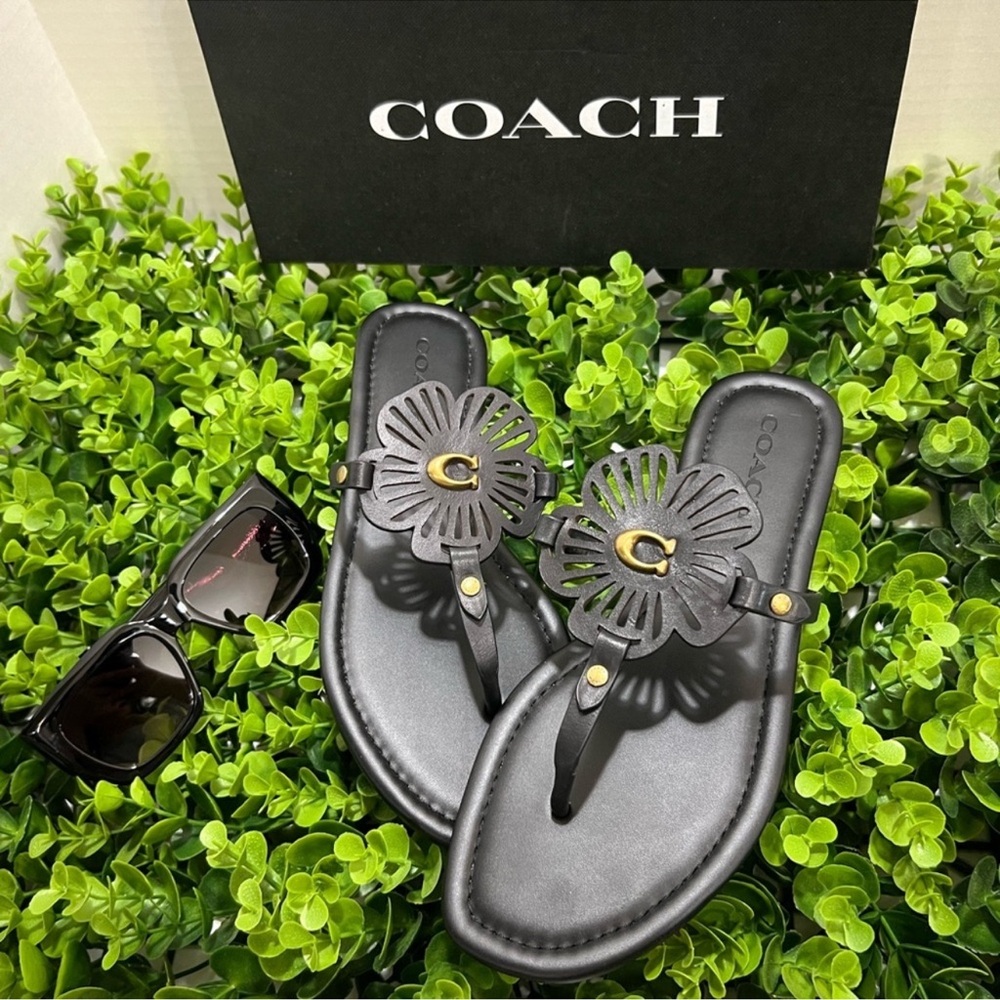 Coach Black Sandals with Sleek Design - Picture 10 of 13